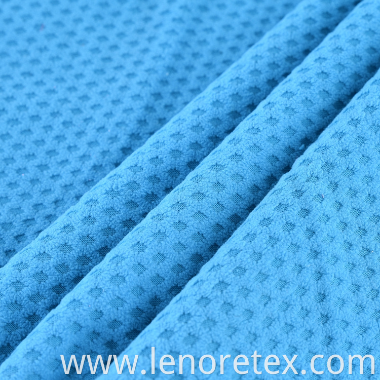 Polar Fleece Fabric